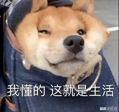 云顶之弈10.13六战地谁主c战地机甲深度评测