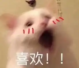 返场补货倒计时5折起美鞋美衣就这么搭