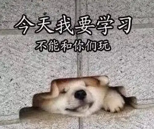 如何做到每天八小时高效复习,这七点需要保证