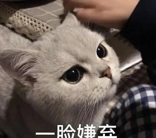 菜场售货员也要四十岁以下的中年危机的残酷,远超我想象