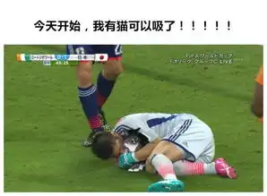 体坛名将看了想打人
