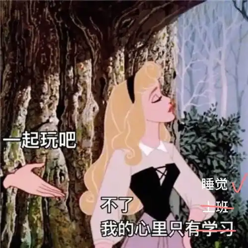 小布说天气在夏日雨后的清晨,立下早睡的flag