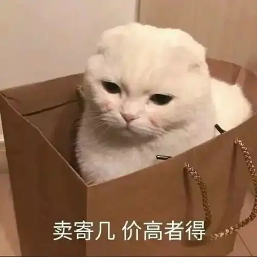 表情包他以前明明很宠我的