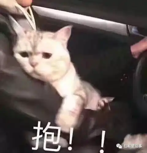 流产丢娃大出血也要拍戏,女明星都这么狠吗