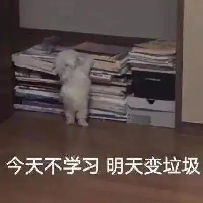 学习头像中高考倒计时必备头像那些可以刻在书桌上的励志句子