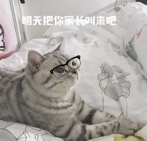 猫咪表情包我等的喵在多远的未来养猫