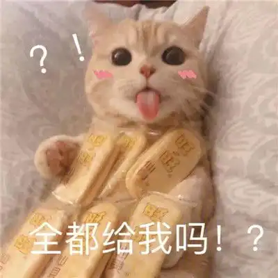 炒鸡甜的猫咪撒娇表情包合集