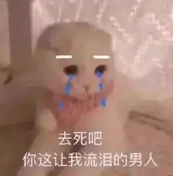 表情包你是老子的女人