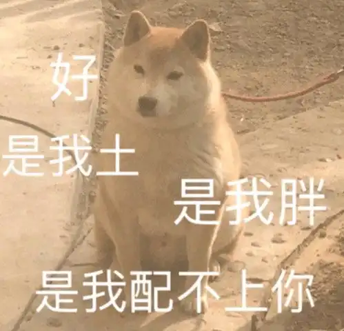 婚后4张云雷你
