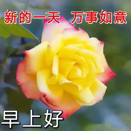 早安图片,早上好暖心的祝福图片,温馨的早安问候语祝福语