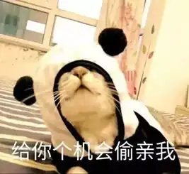 猫咪表情包丨进来吸猫