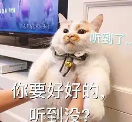 俊介走了,楼楼也走了,上帝把我们的表情包都带走了...