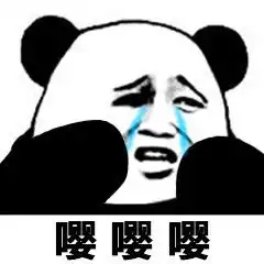 熊猫头表情包i你懂我的意思吧