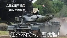 warthunder战争雷霆德国s204长舰体