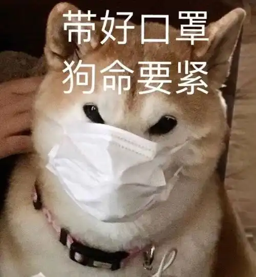 凌晨好,来给集美们消毒啦