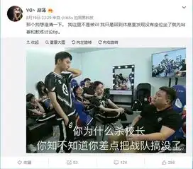 vg打野回应表情包没把他当作王思聪