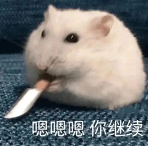 这些星座不爱记仇,但不是好欺负