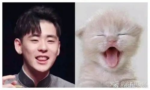 有没有什么好看的德云社图片壁纸表情包