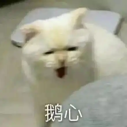 太喜欢沙雕猫狗表情包了,疯狂收图