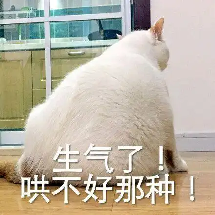 猫咪看到同伴吃完饭后,会自动把每个剩下的碗舔干净,真是个好猫