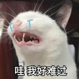 猫咪的报恩将要离世的老猫,为了主人不孤单,从外面带回一只小猫