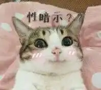表情包你不能看我可爱就欺负我