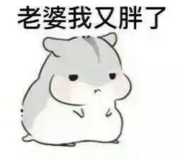 仓鼠球表情包系列老婆