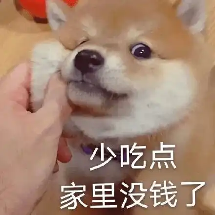 沙雕表情包出来聊天别躲着不出声