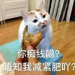 表情包楼板猫表情包