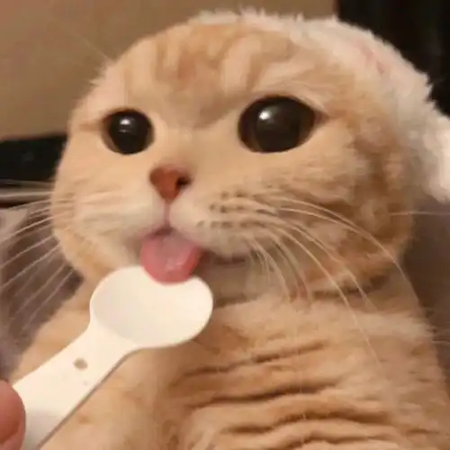 一批个性微信头像,猜你会特别喜欢的,选一张精致吧