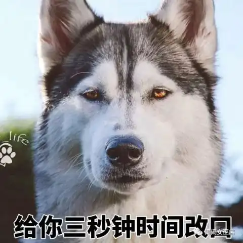 水瓶座与普通人的不同