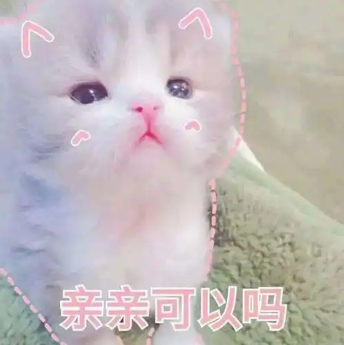 幽默笑话,今天去买鱼,儿子也跟着,他问我鱼为啥要跟冰块放一起