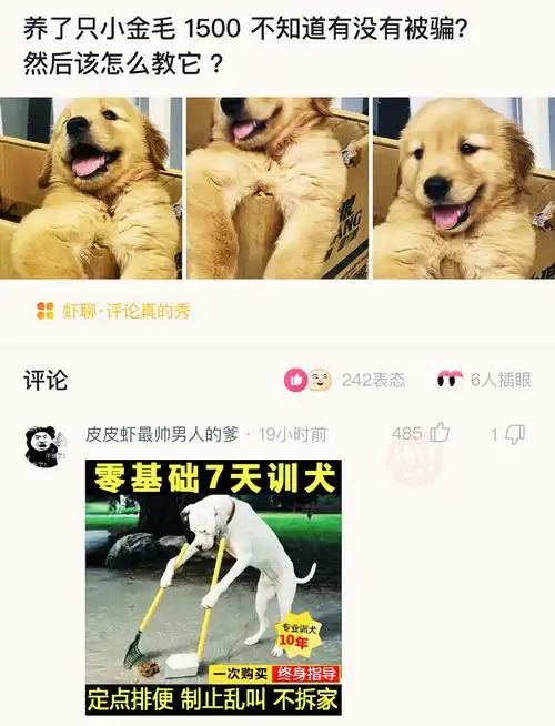神回复假如白蛇报恩的对象是鲁智深,故事会怎么发展呢