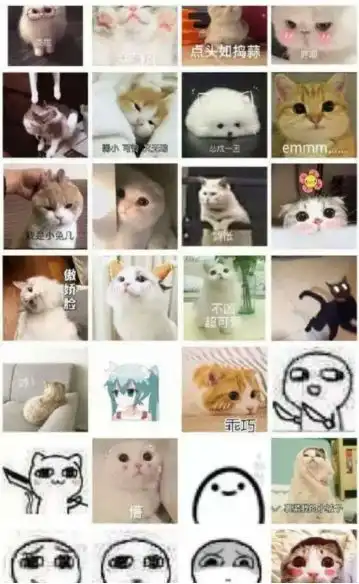 贵圈不乱什么鬼五亿人都在用的表情包不能用了