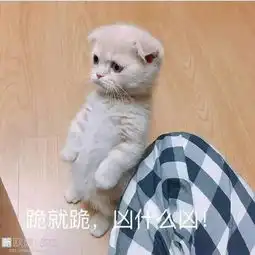 工作多无聊,你才能知道你的同事多有创造力