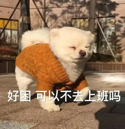 速冻今冬最强冷空气将发货,我省局地降温超12