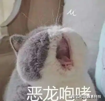 微信新功能拍一拍,你拍了吗