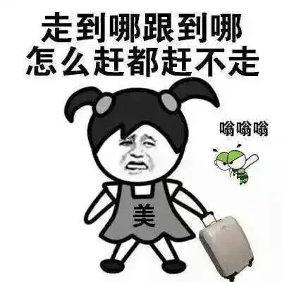 再忙也要看教你4招整个夏天可以完全拒绝蚊子送的大红包
