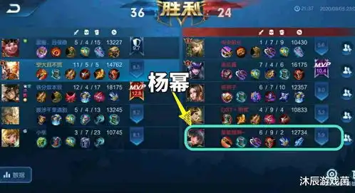 王者荣耀网友五排遇杨幂车队一顿吊打,主页看到战绩惊了