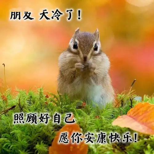 8张最新有创意好看的朋友圈早安问候祝福表情图片带字免打字的友谊早安问候语图片带字温馨