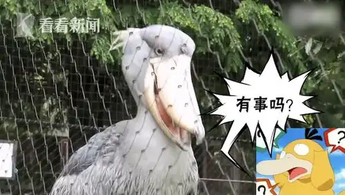 鲸头鹳张嘴散热成表情包网友目瞪口呆.jpg