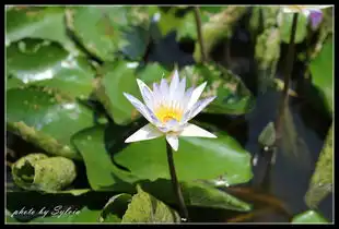 一个人的厦门,厦门的一个人