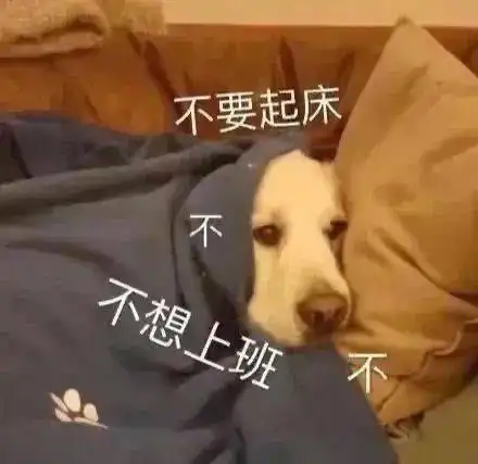 跟你超配的沙雕表情包