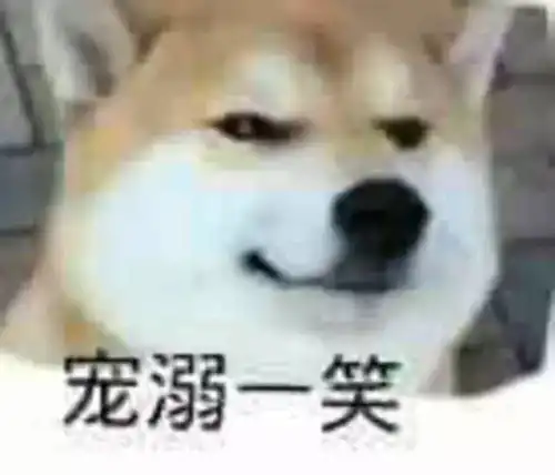 柴犬为什么叫戏精看了这些表情包你就知道了