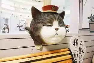这个六一去哪儿玩6月最全亲子玩乐指南送上