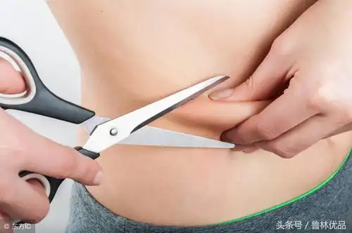 身未动,心已灰坚持做好这件事,减肥其实很简单