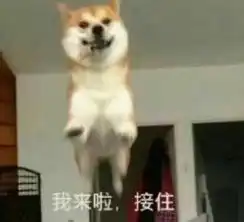 马上这些地方都将被东莞人挤爆涉及南城东城莞城,还有很多镇街