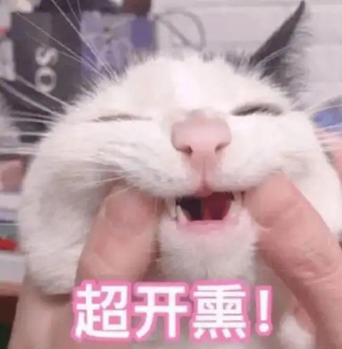 新年骚不骚,运气爆不爆,看袜子就知道