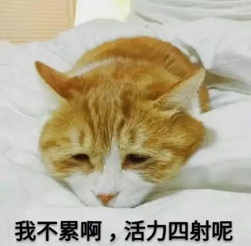 北中医校内微信公众号排行榜5.225.28