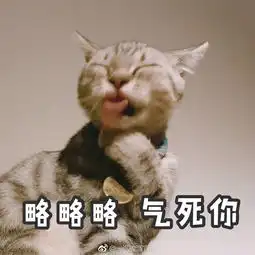 晒晒呀
